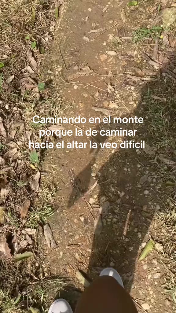 @Génesis HM