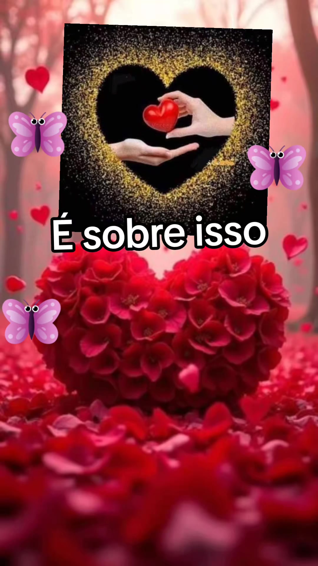 @Fátima Raio de luz 🐝🐞🦋