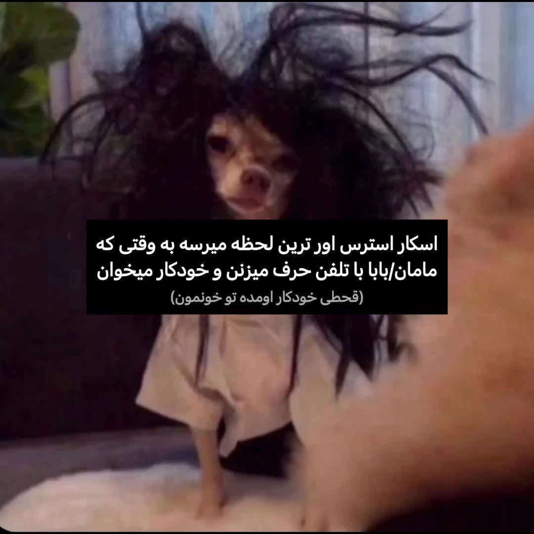 @donyaaow