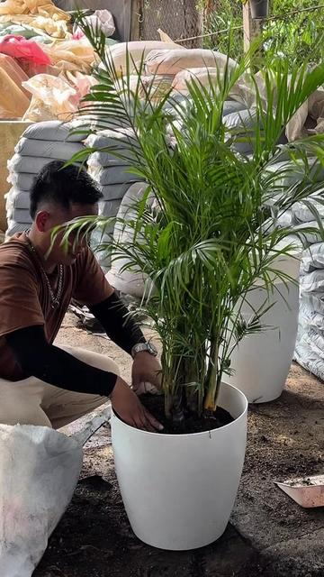 @BM-JOV GARDEN CENTER