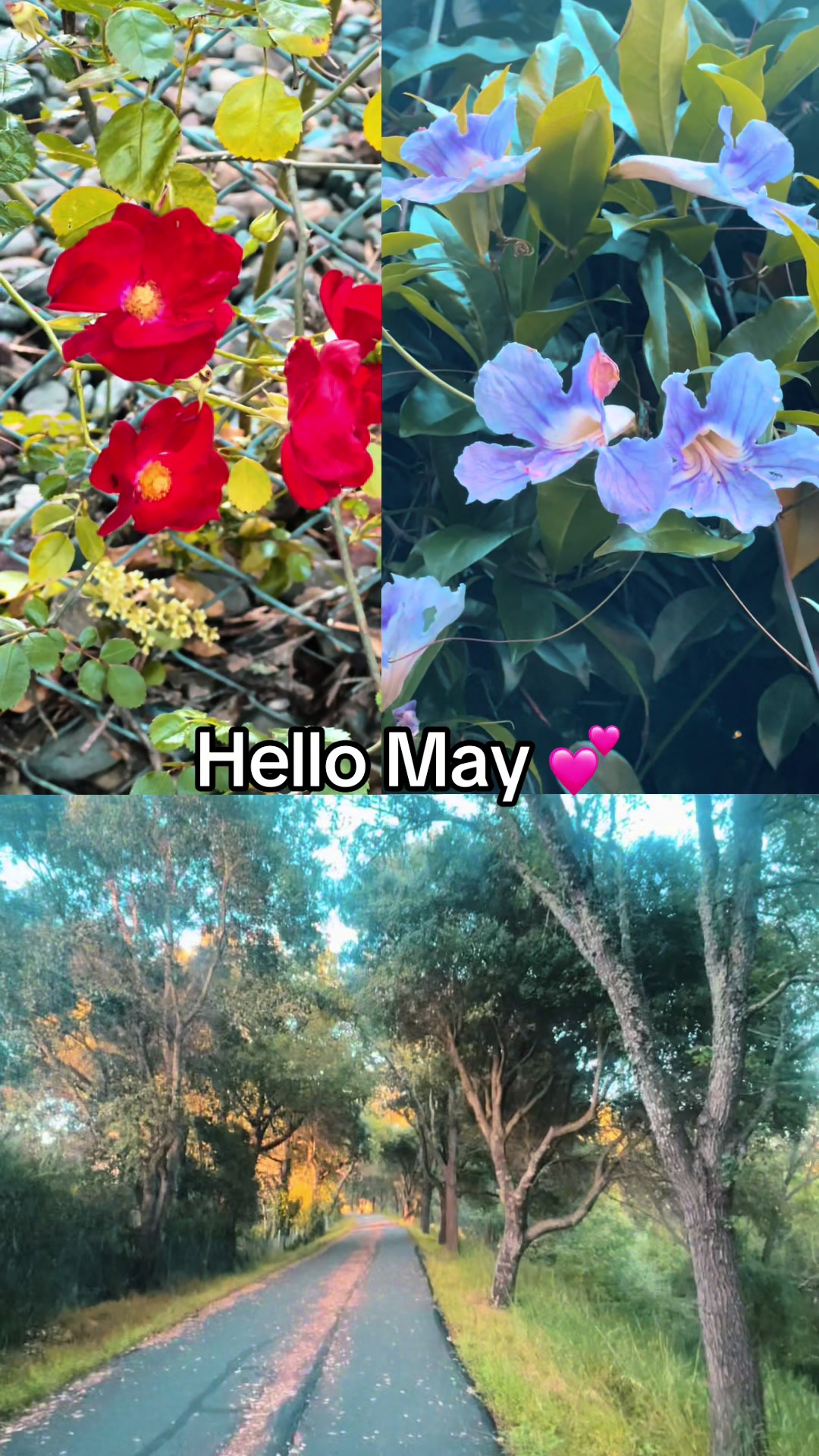 @Mayri