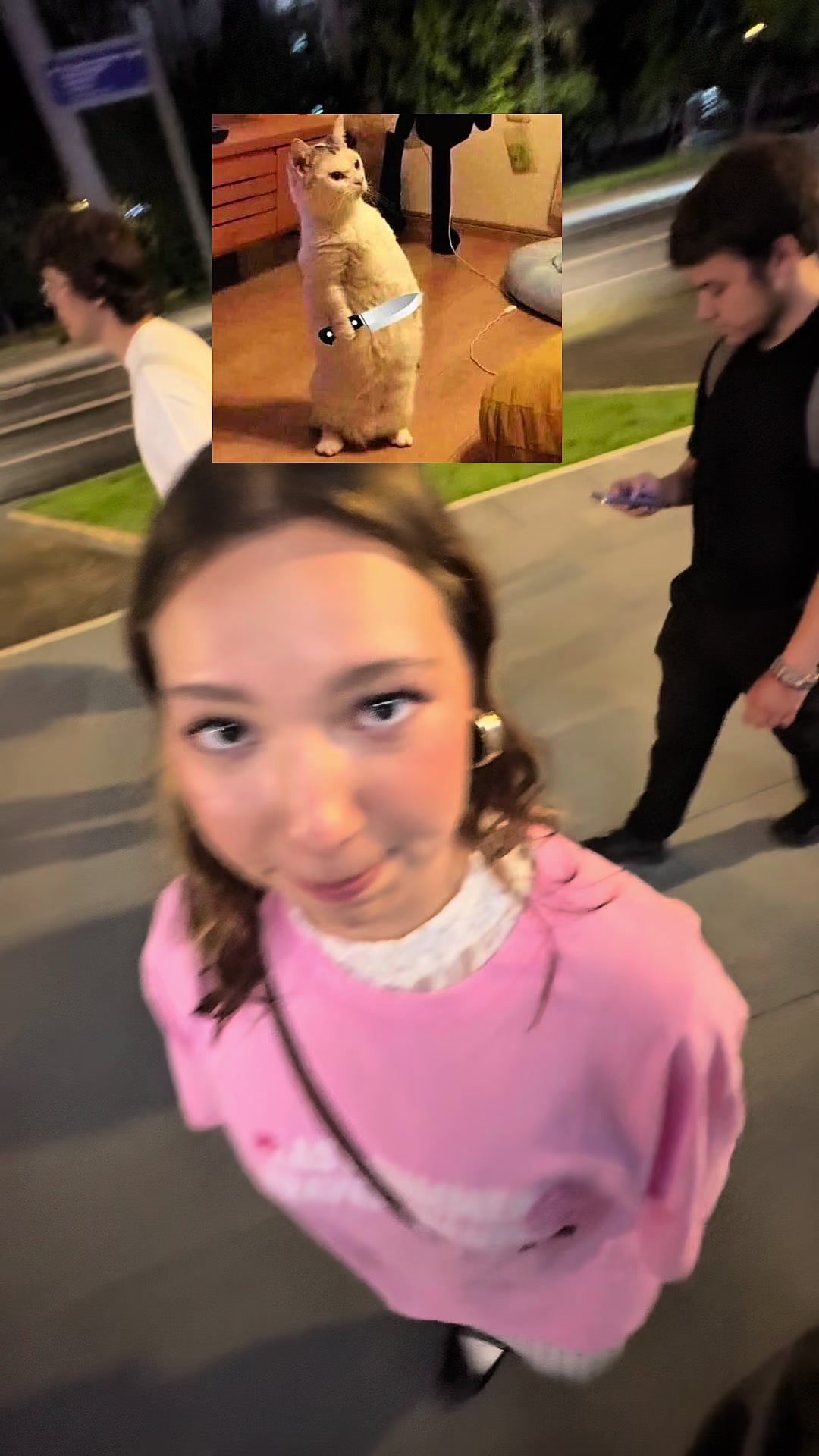 @zontichekkkk