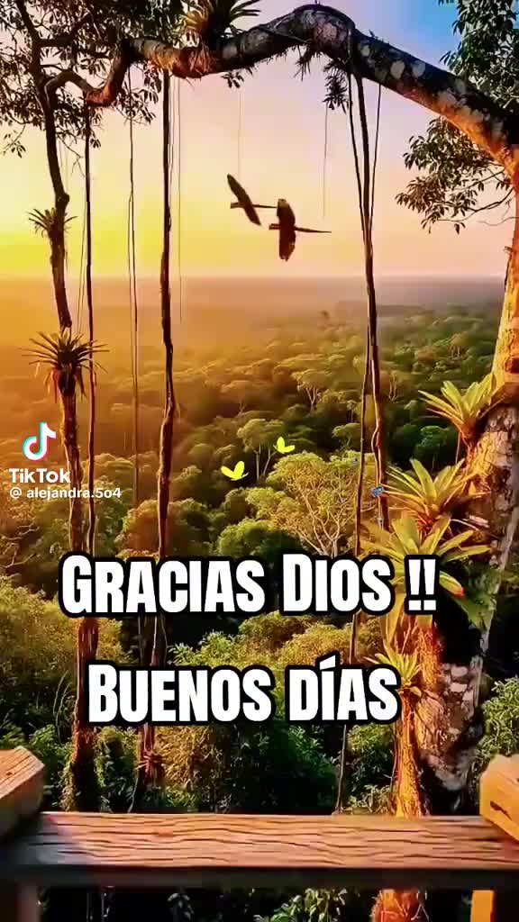@ileanalopez18