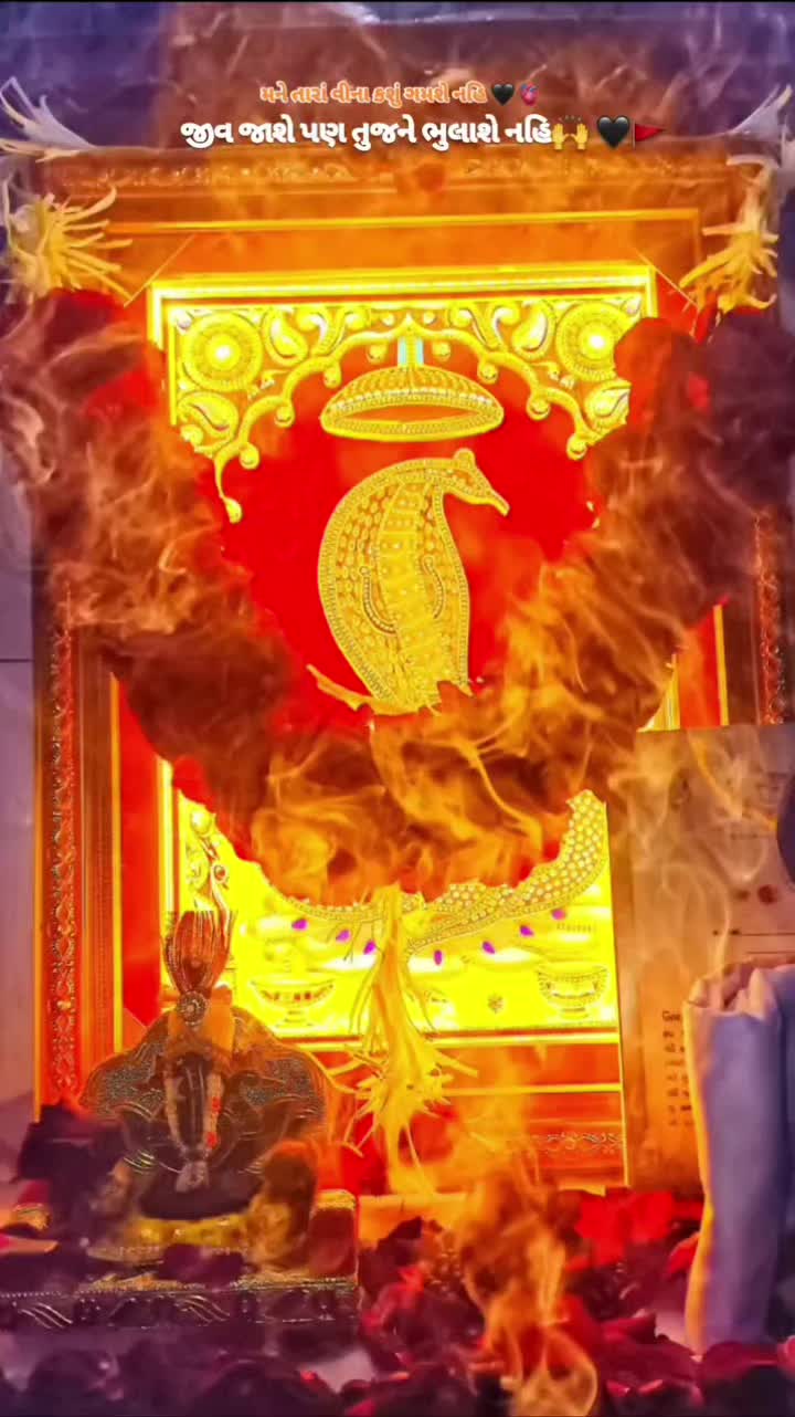 @Nick chaudhari1 🇮🇳 🇺🇸
