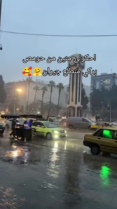 @alestora_reem_