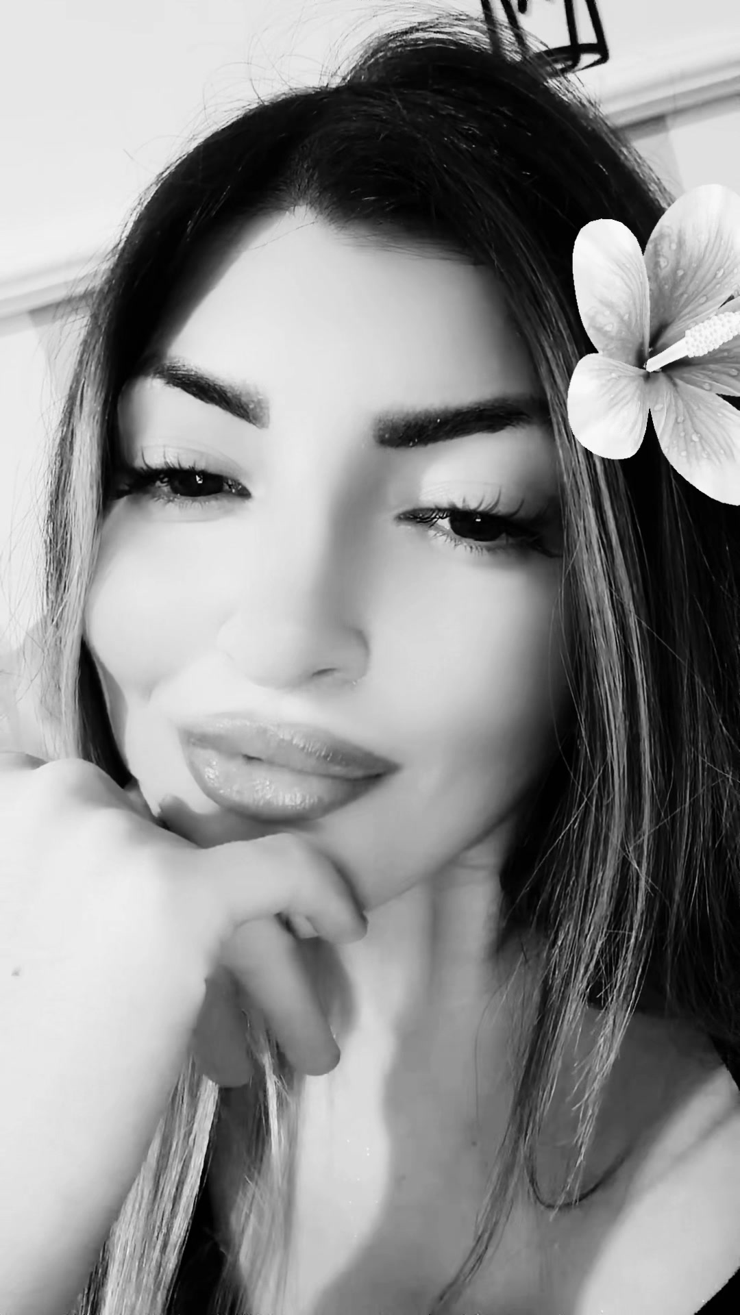 @carmen albolino