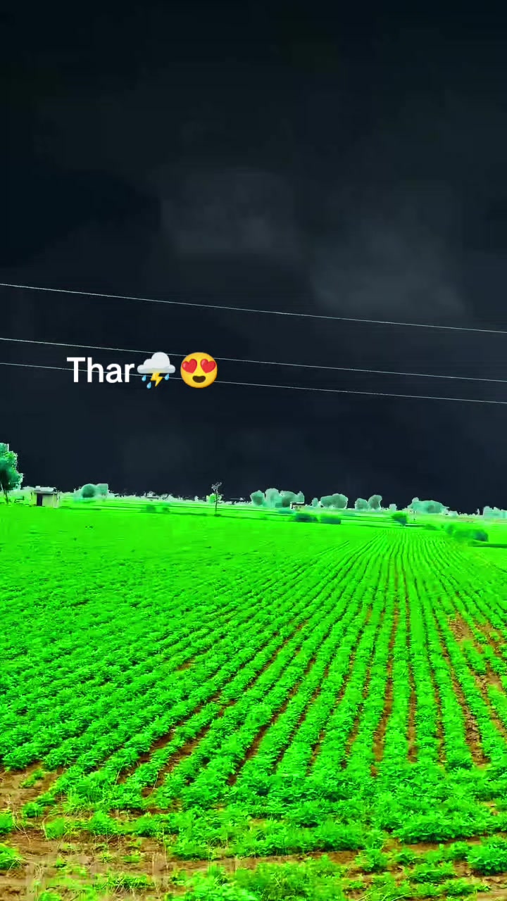 @فوزيه سومرو🥀❤️
