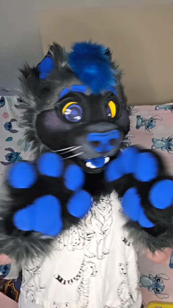 @Nexa Ferret