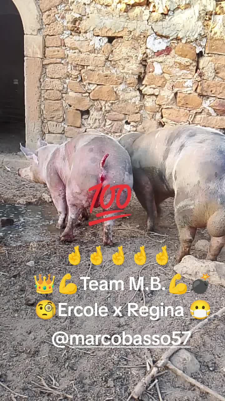 @Stefano Zagara