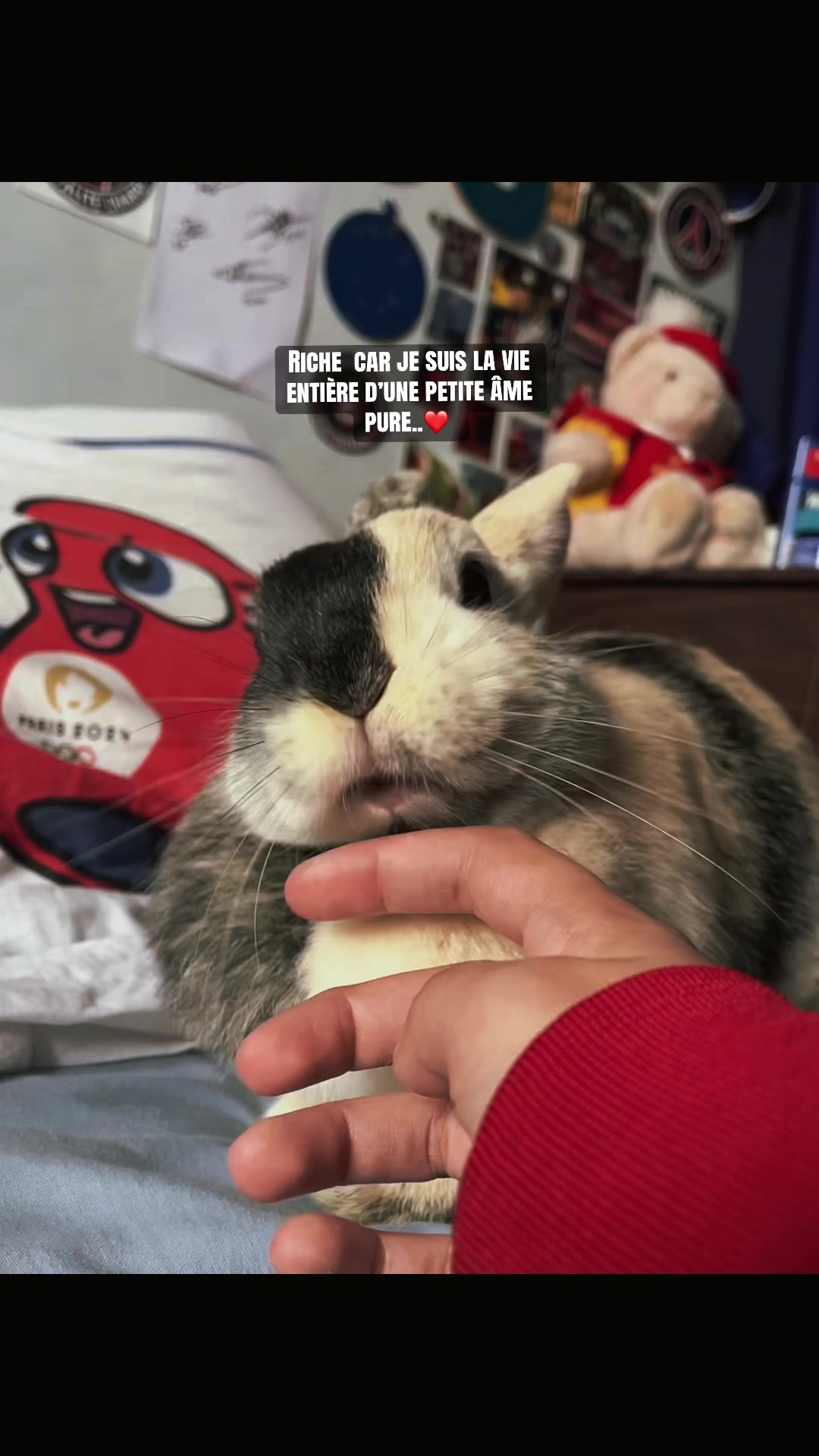 @Chichi la lapine