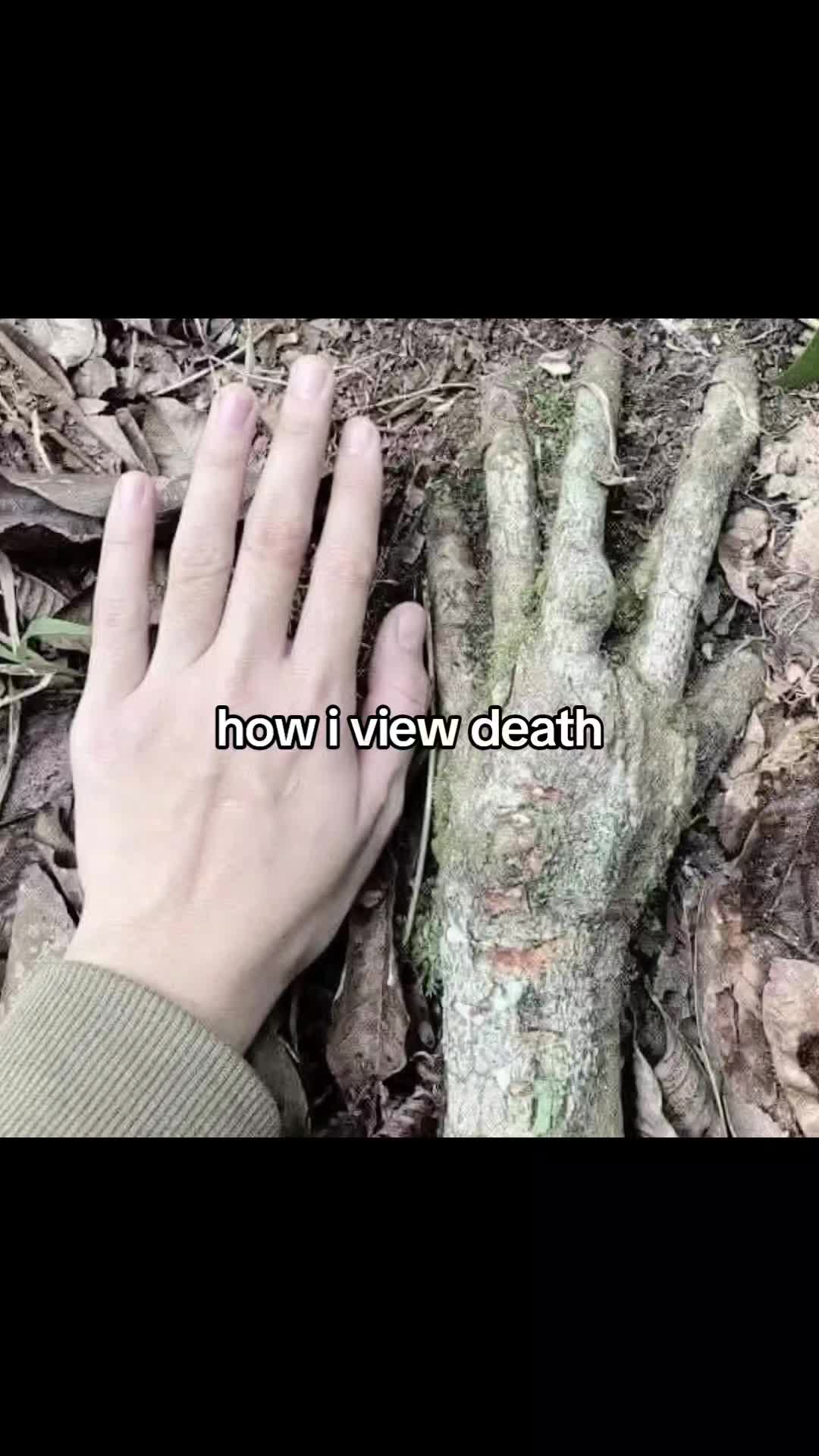 @Delreysicon