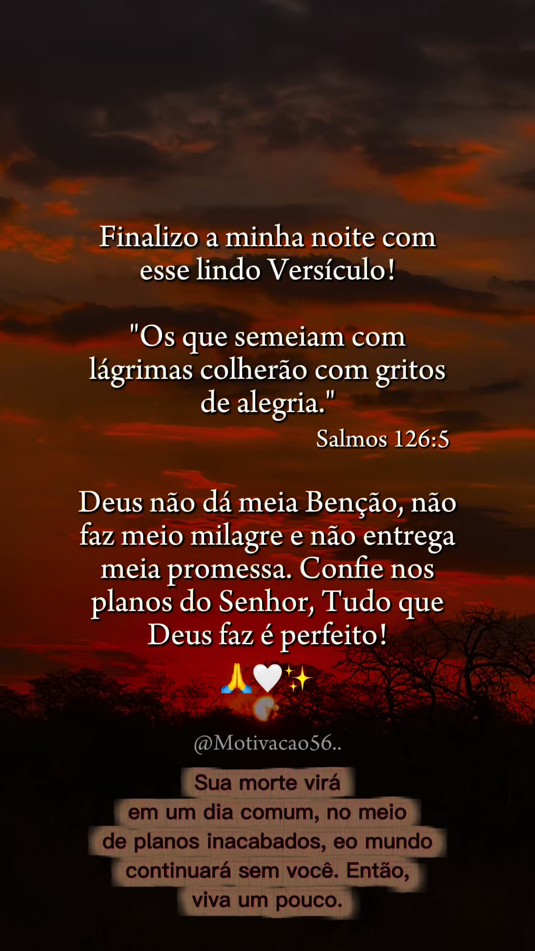@Suzana Calixto