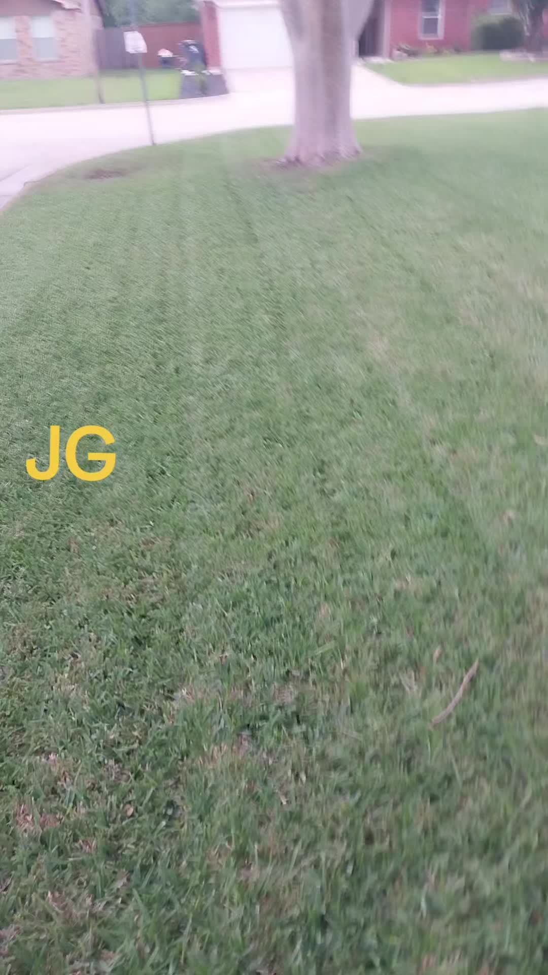 @JG Garcia70725