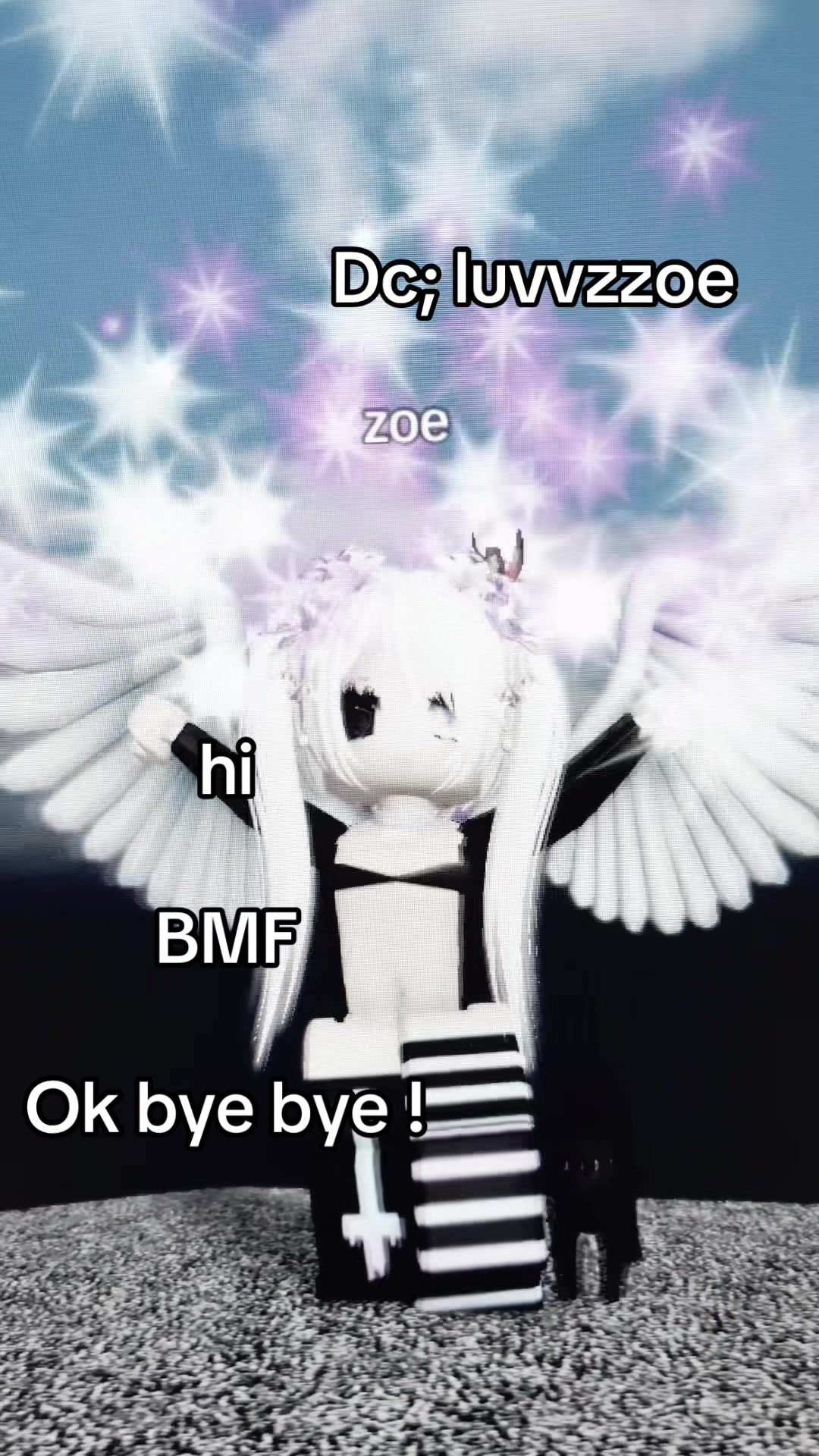 @Kiki 🐾