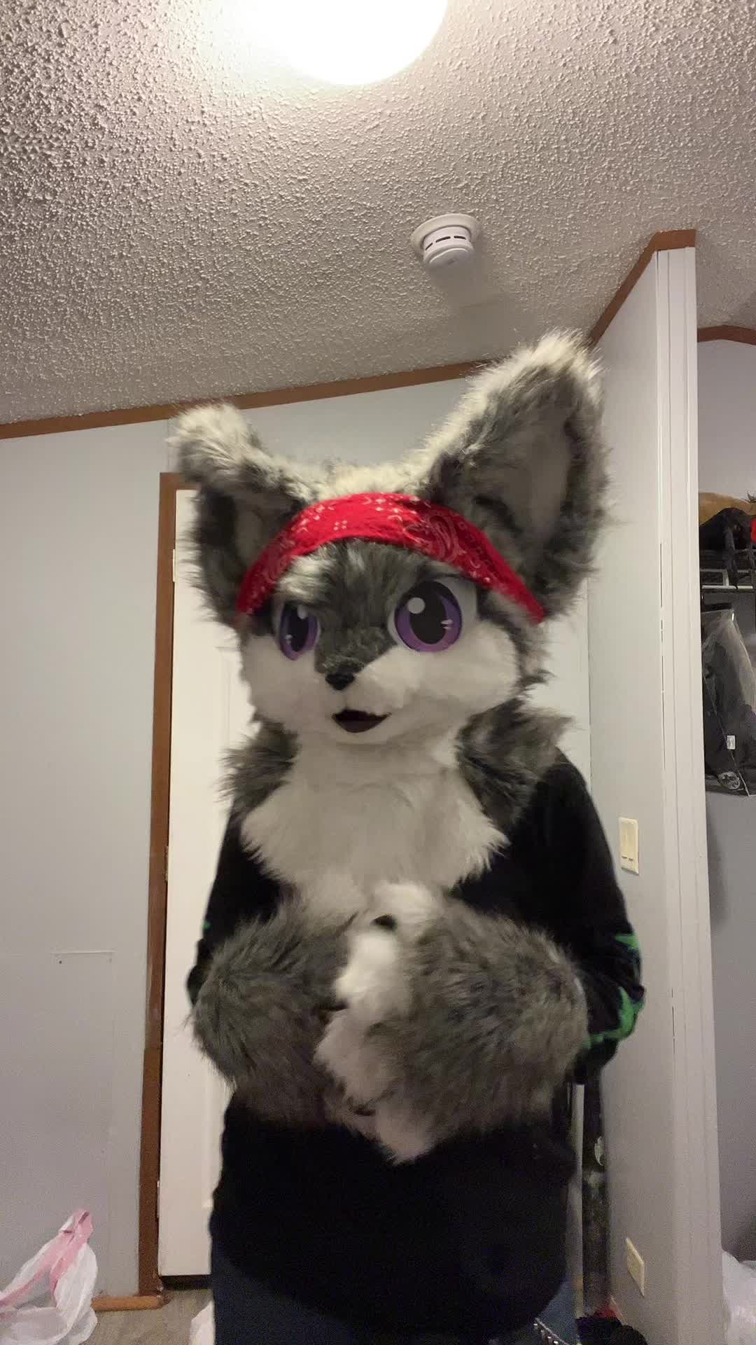 @karai_WolfDragon23