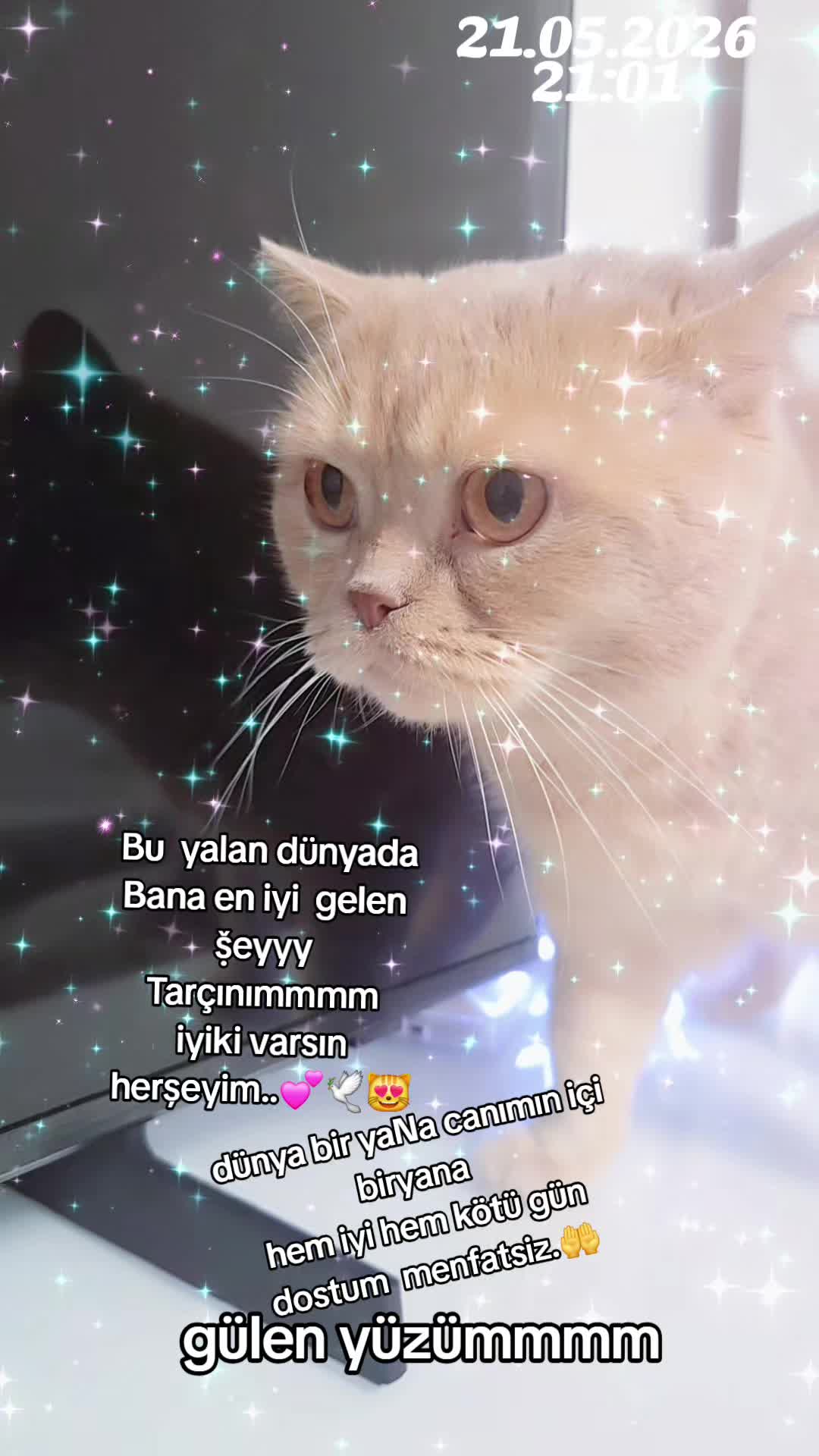 @☆𝐄𝐛𝐑𝐮 𝐃𝐞𝐒𝐓𝐚𝐍~☆🌹👸