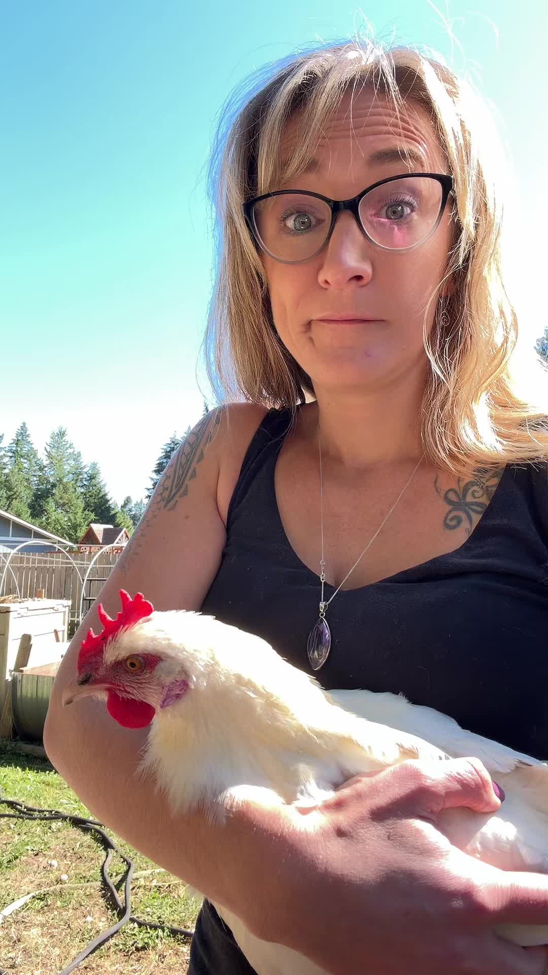 @Lyndsey - Backyard Family Farm
