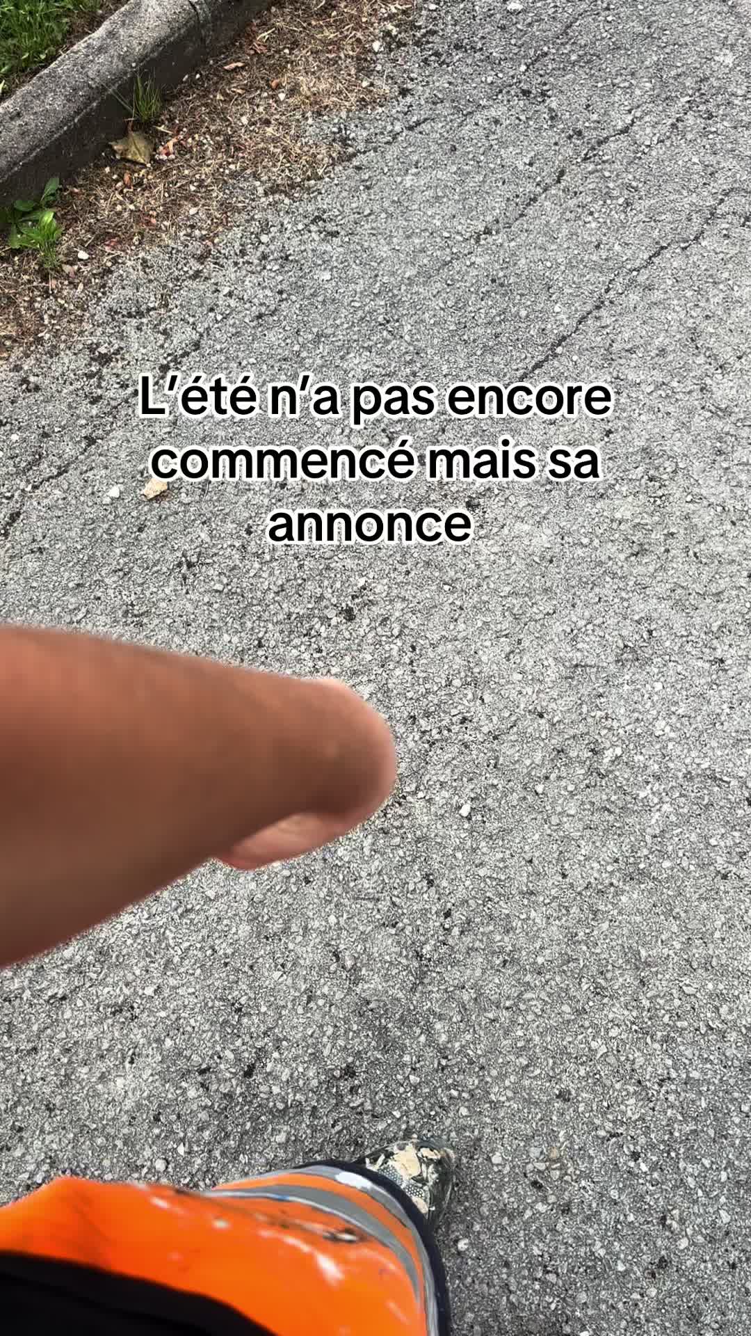 @d.toffy