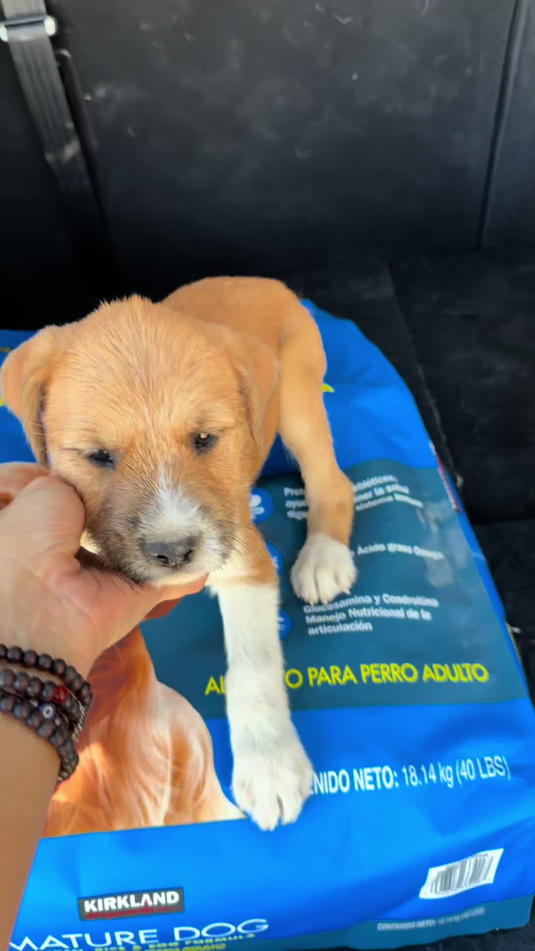 @Vane Páez