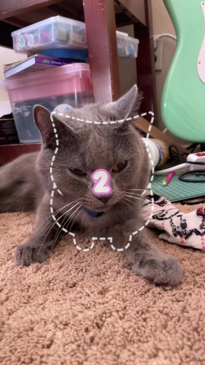 @🪷
