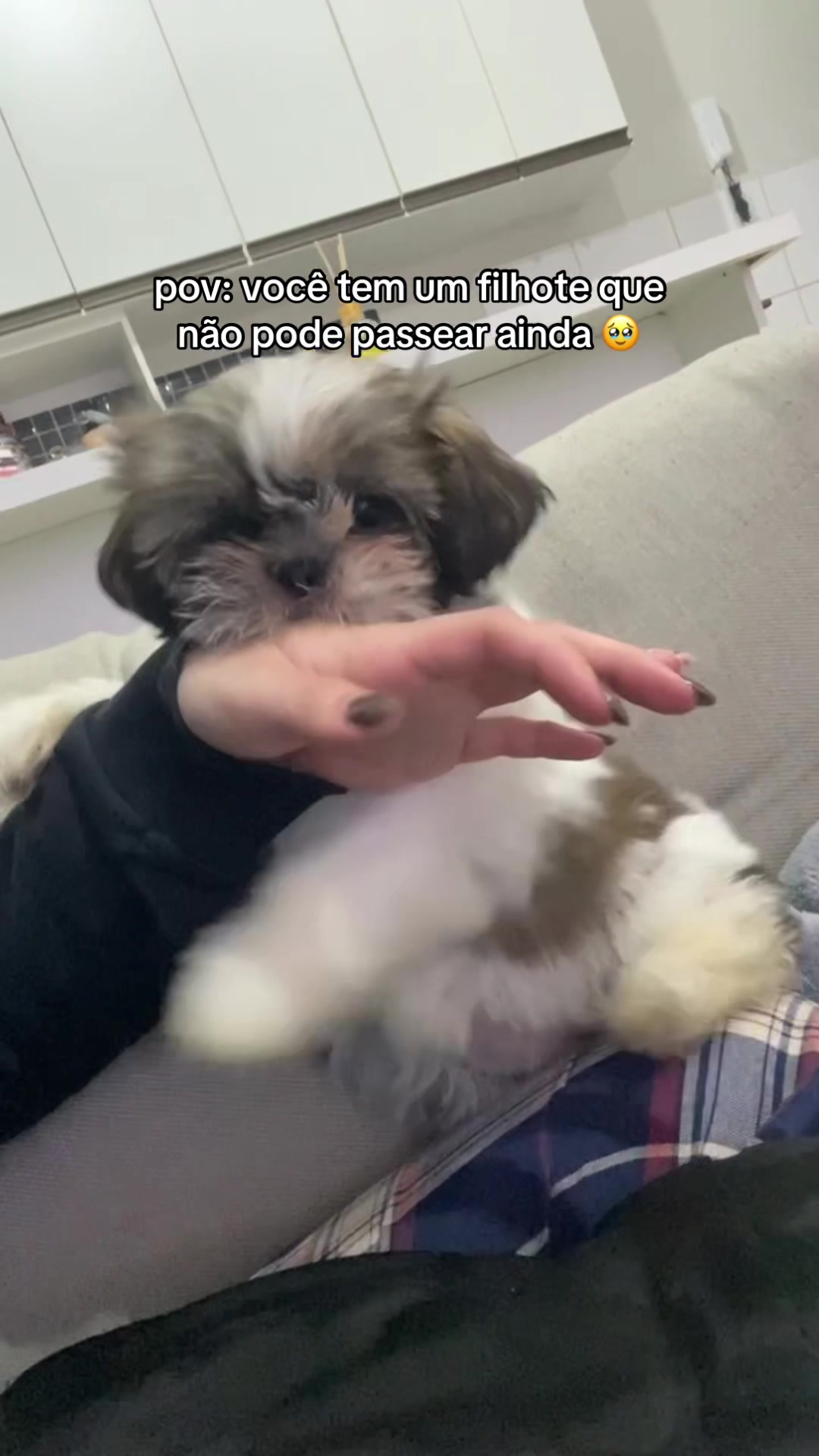 @Áxella