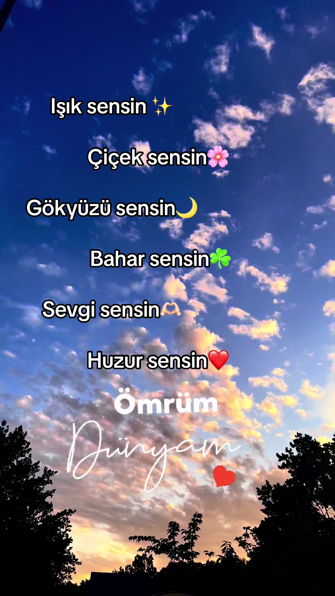 @501🌞
