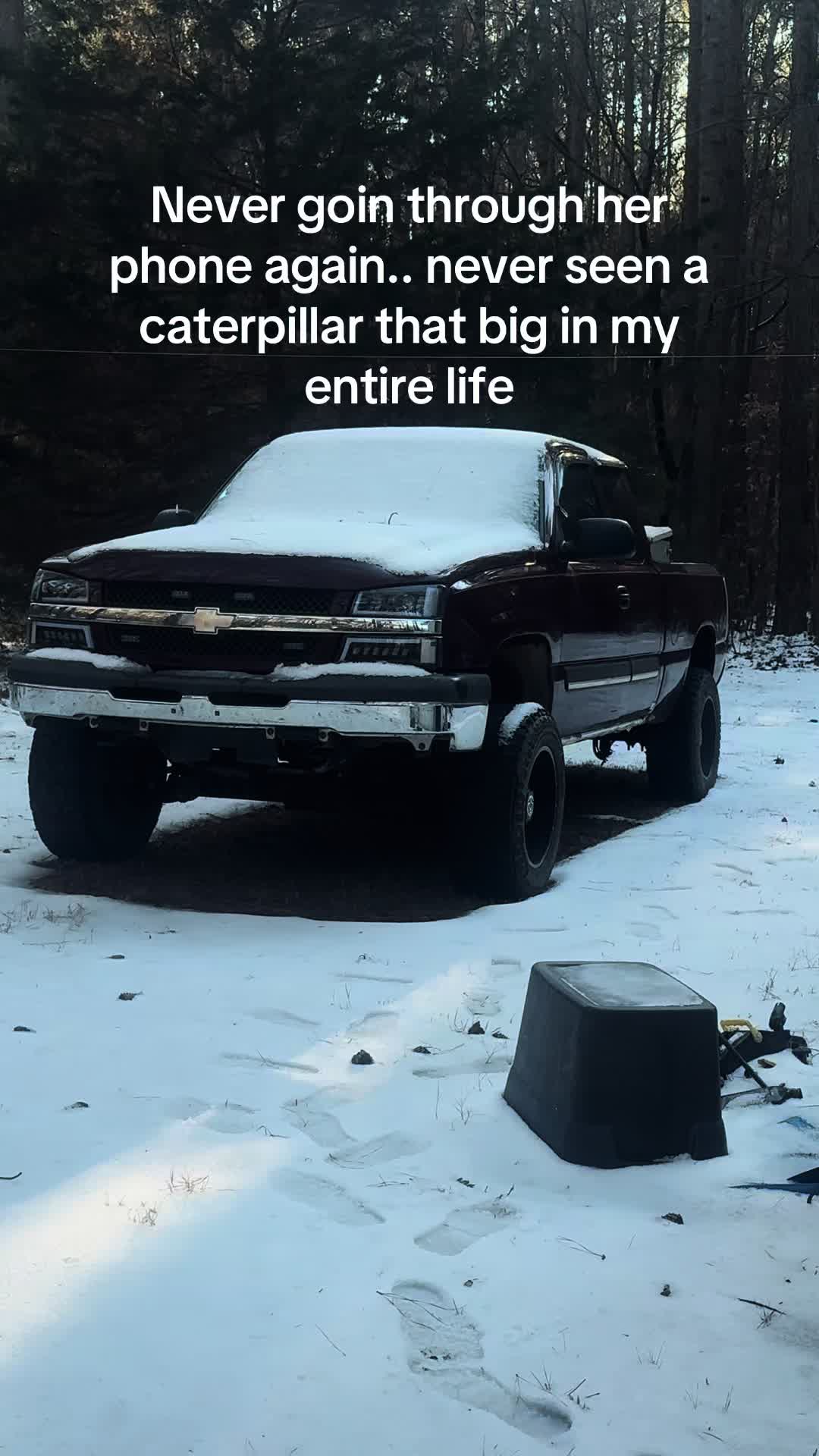 @️ ᴛᴀʏʟᴏʀ🦌
