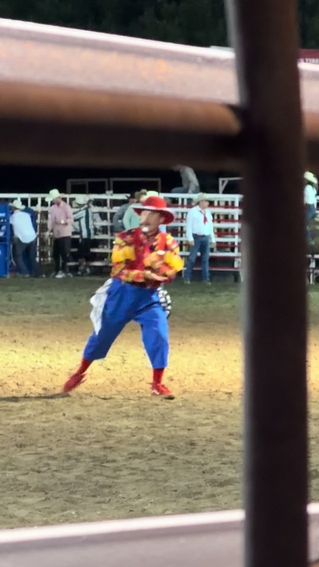 @Cowboy Swagger