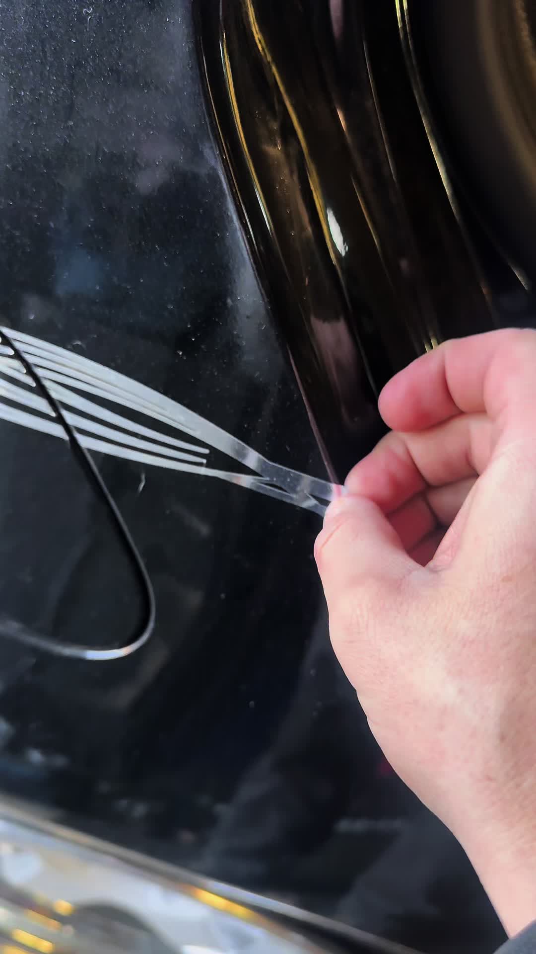 @yodougy