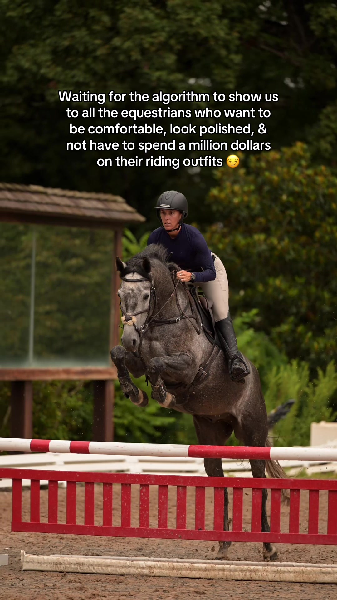 @Free Ride Equestrian