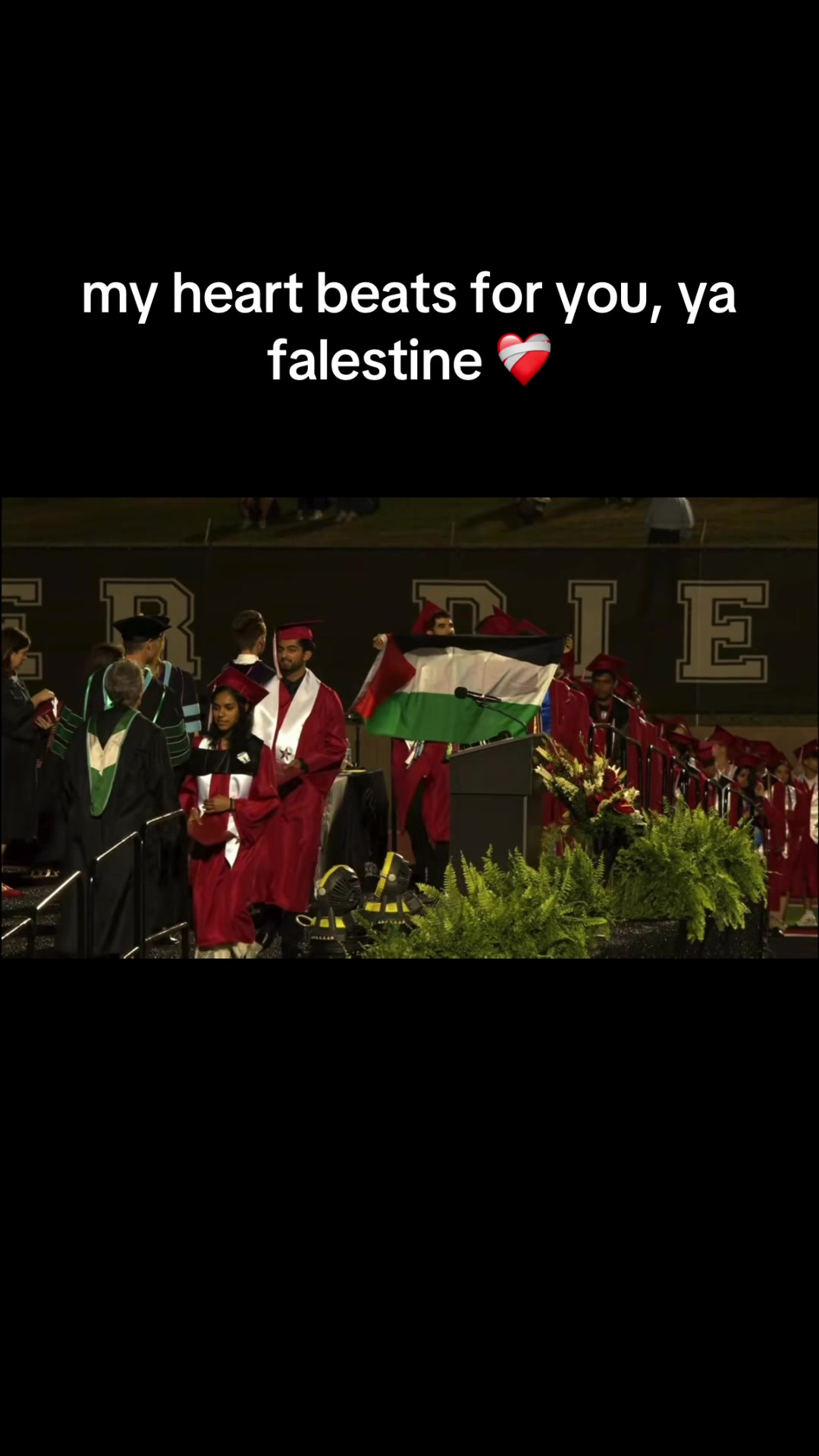 @Mohammad Saleh 🇵🇸