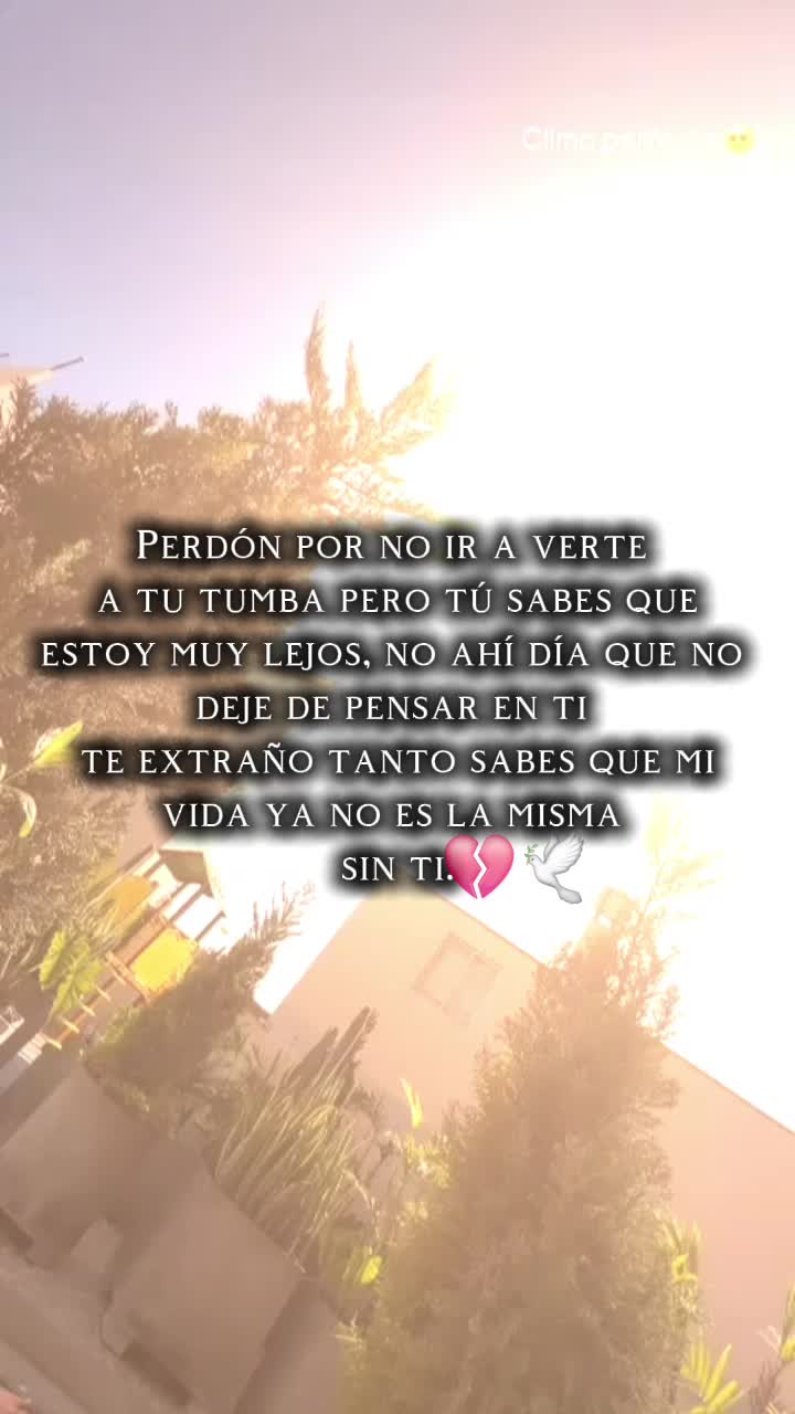 @Elisa2001