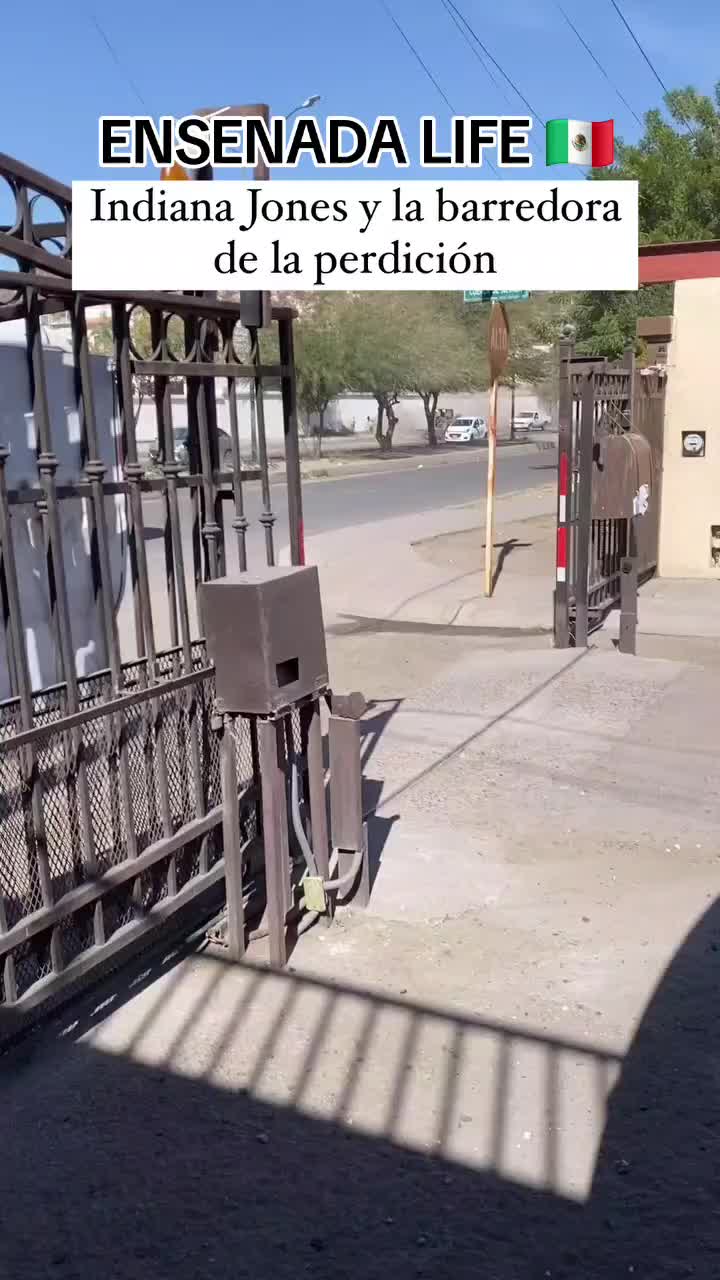 @EL Gallo Salcedo🇲🇽