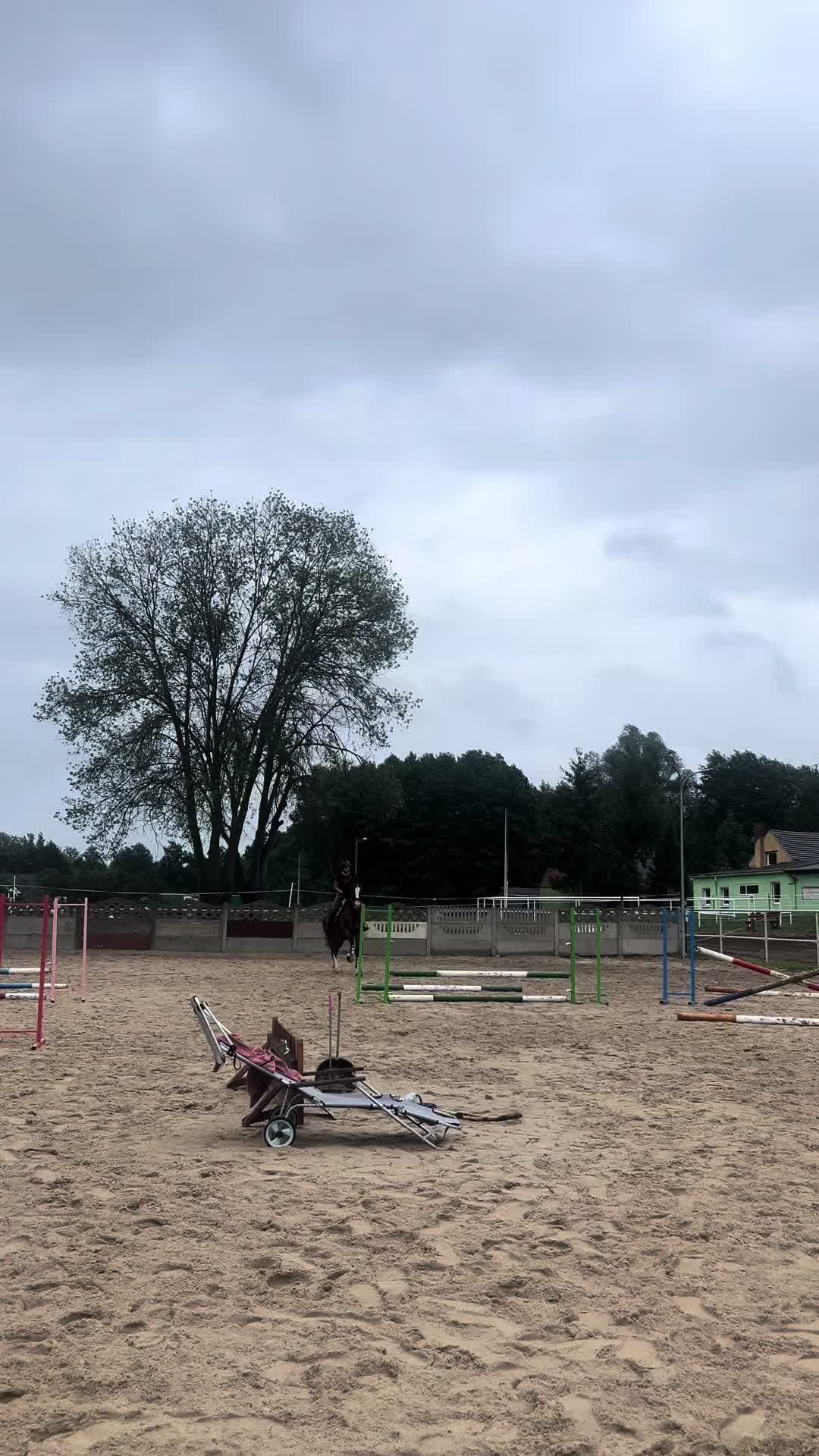 @Kinga Dzikowska