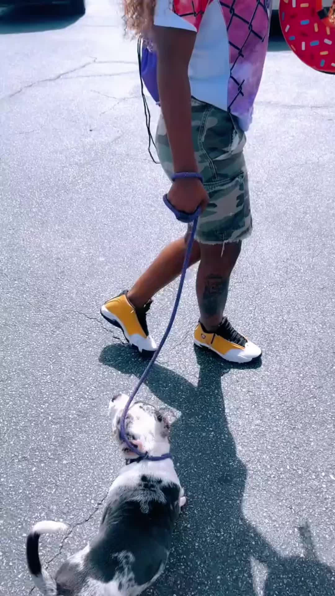 @gardnerkennel08
