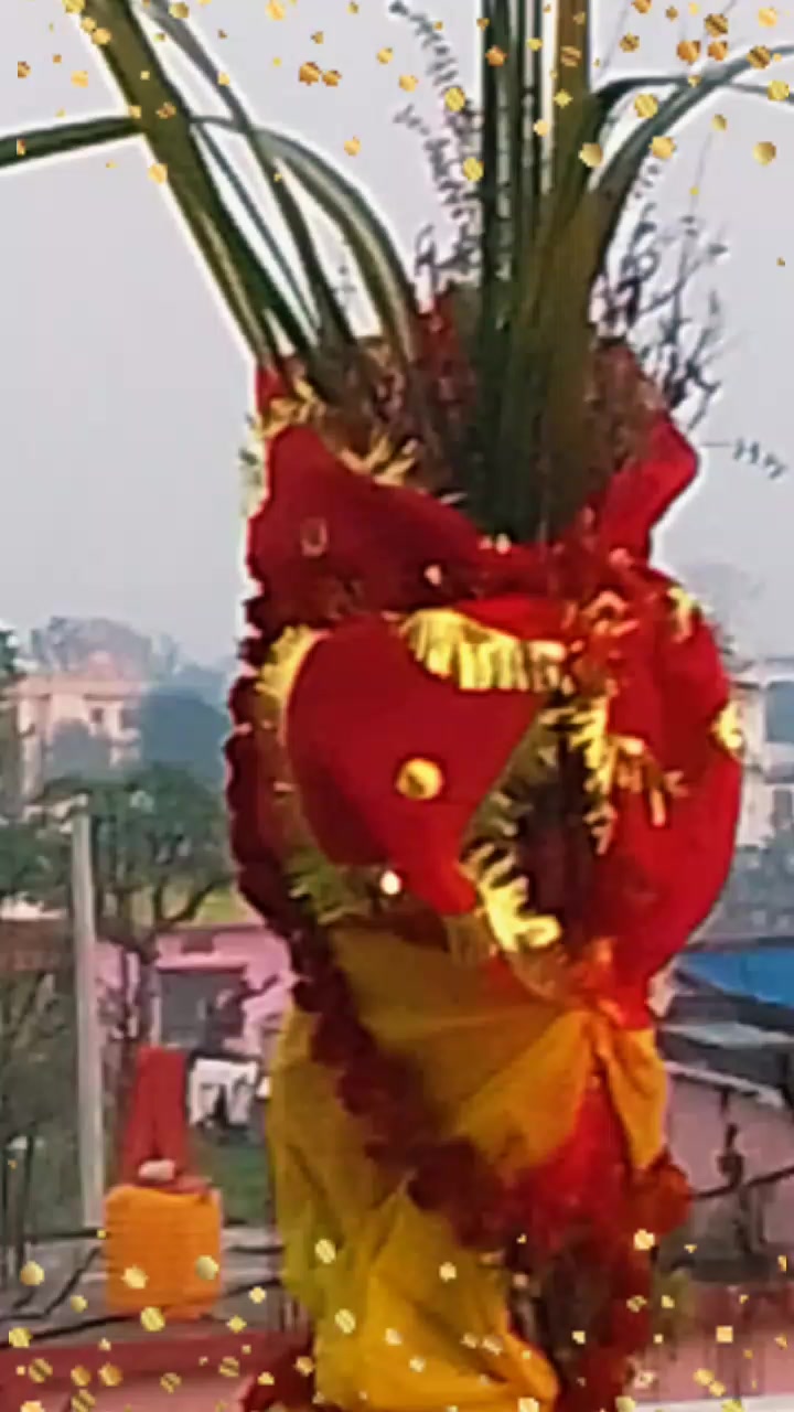 @Sita Rawal