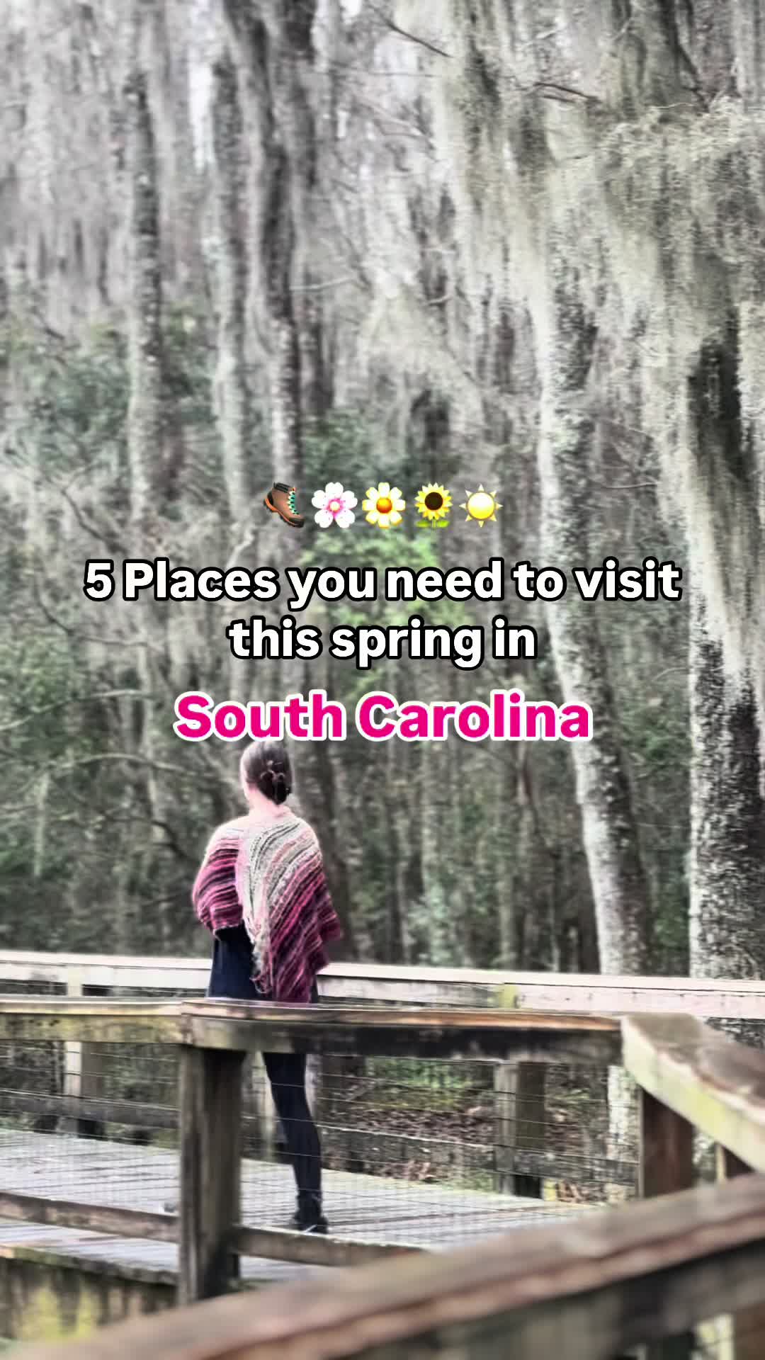@South Carolina 7
