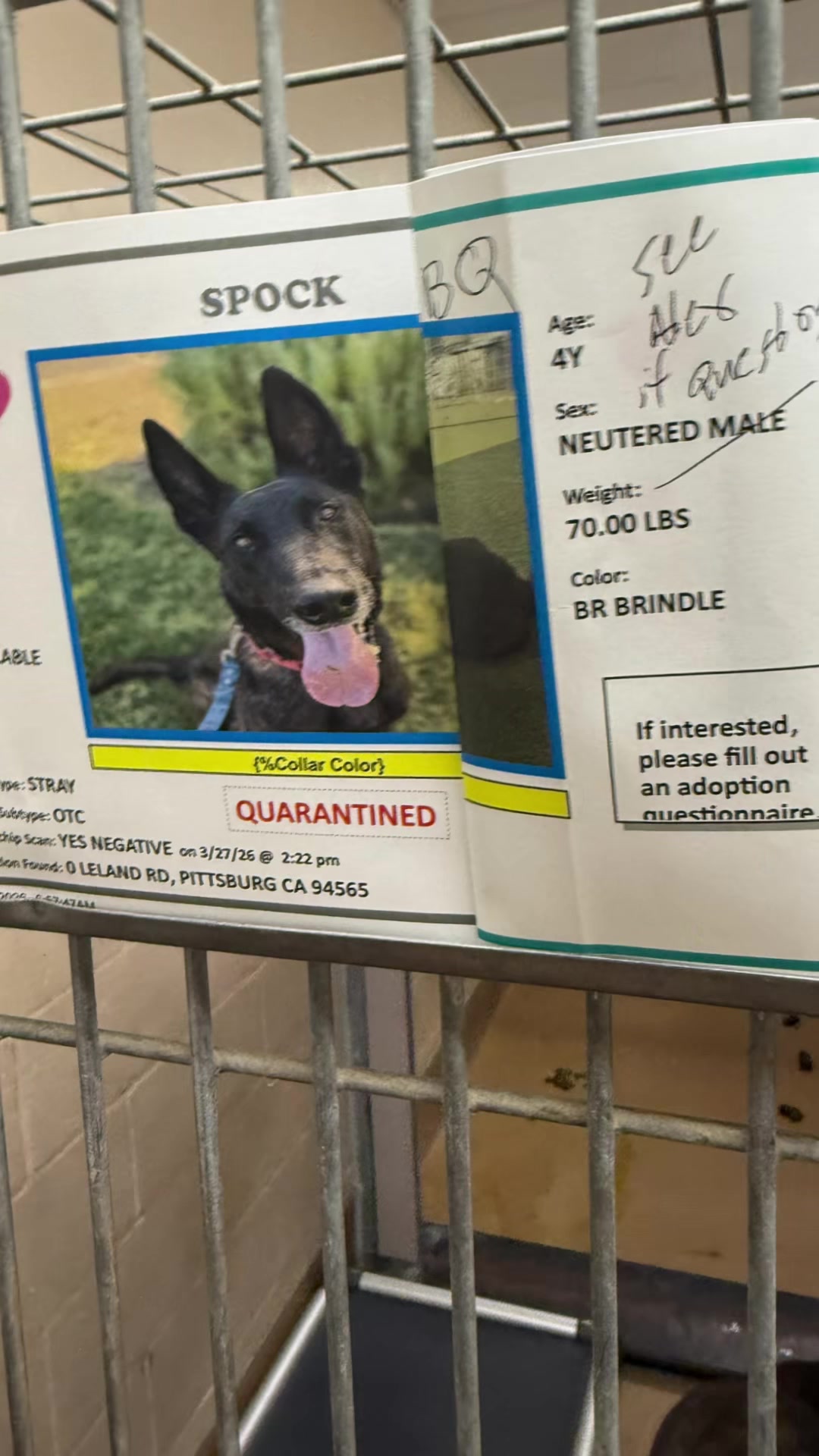 @K9 Optima