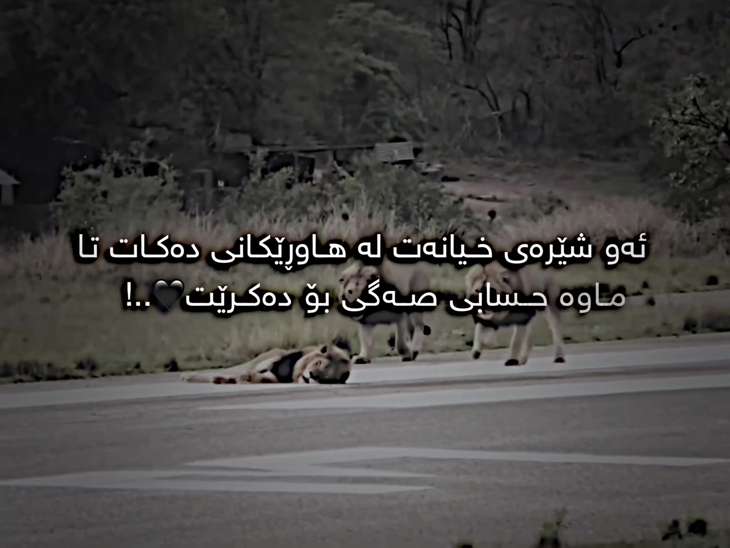 @🌪️SM4E_SAUND📌