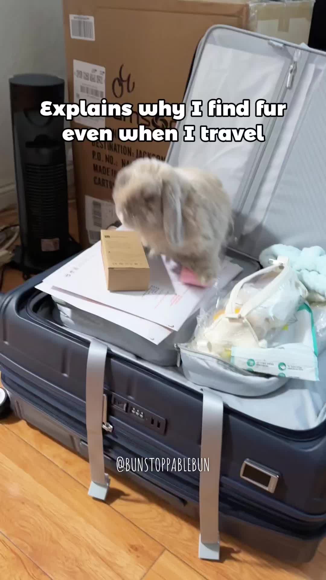 @BunBun, Mochi🌈, Chewy
