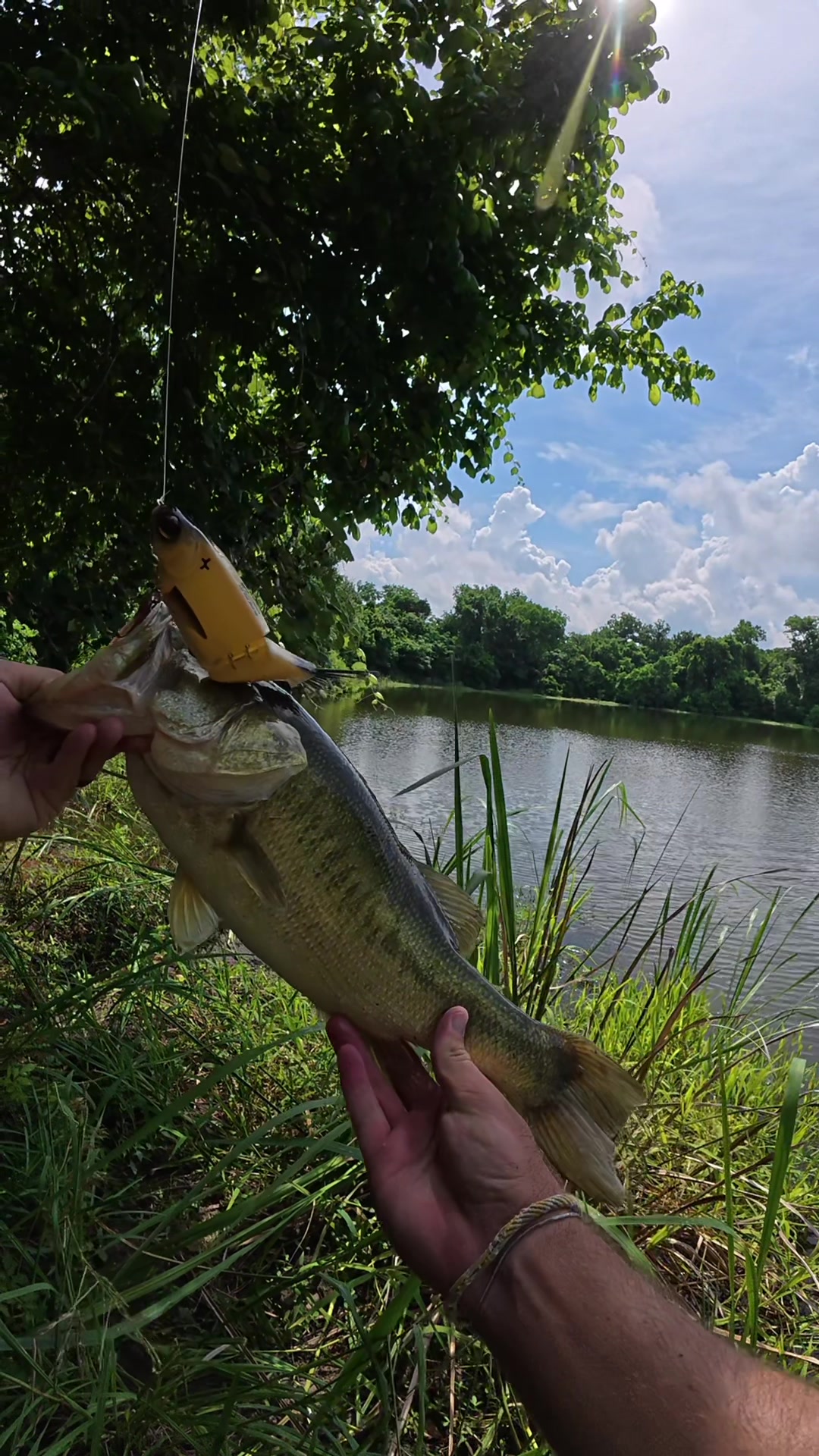 @drewmayfieldfishing
