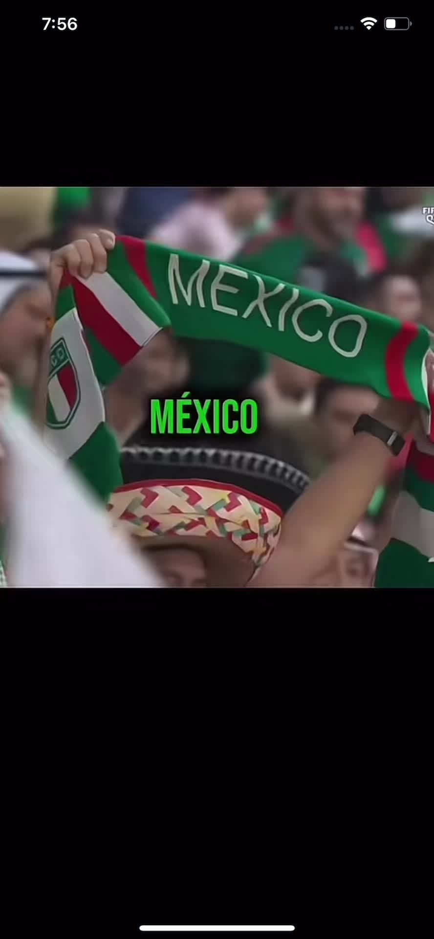@leonardo895