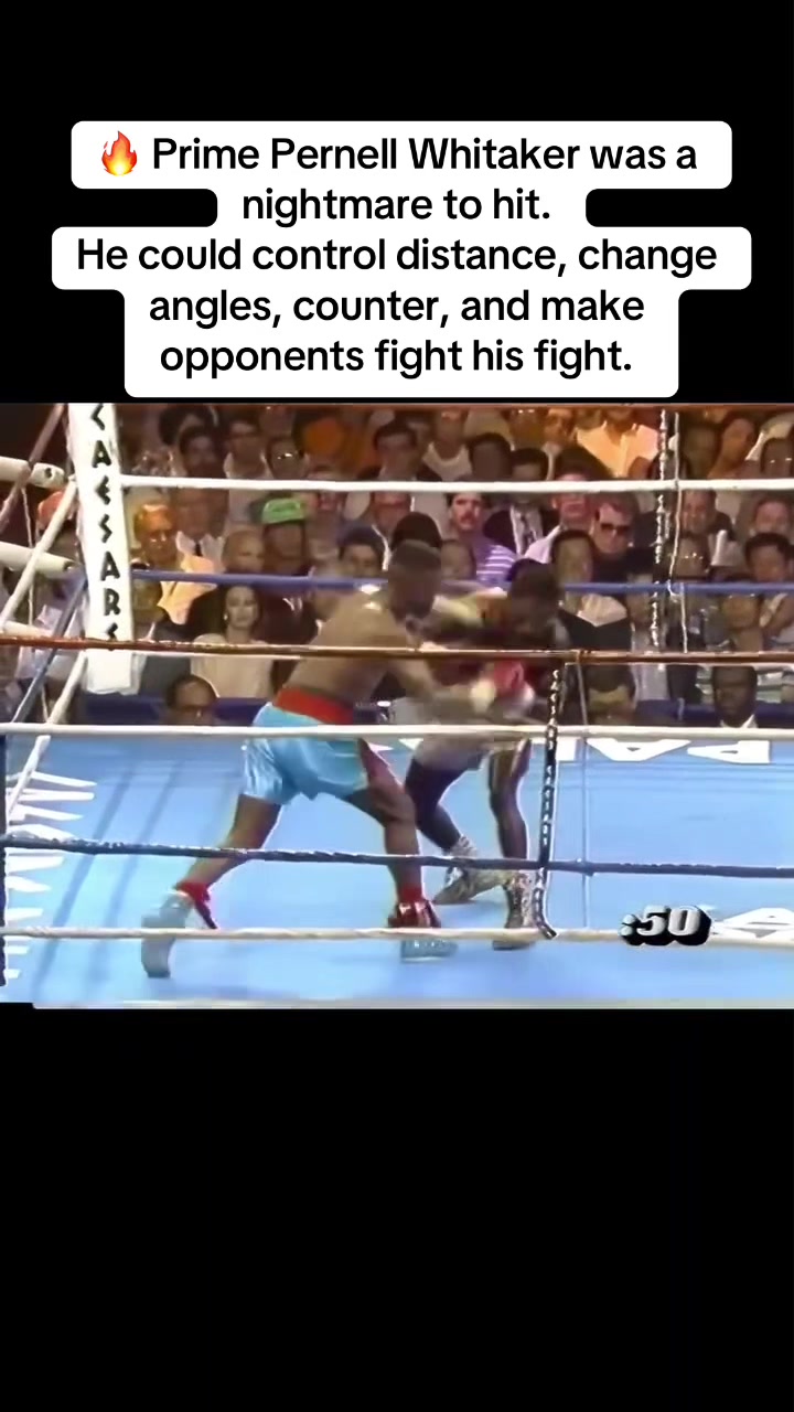 @Boxing Loops ๐ฅ Highlights