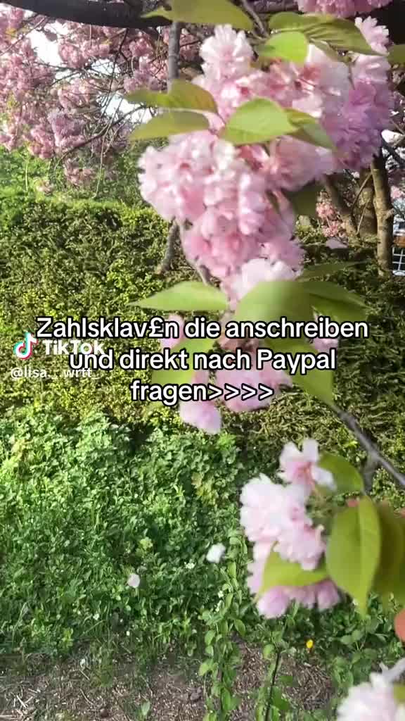 @herrin_miss