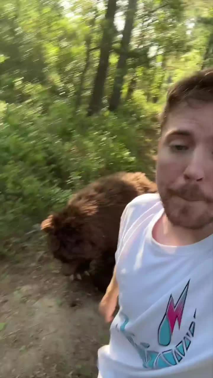 @MrBest