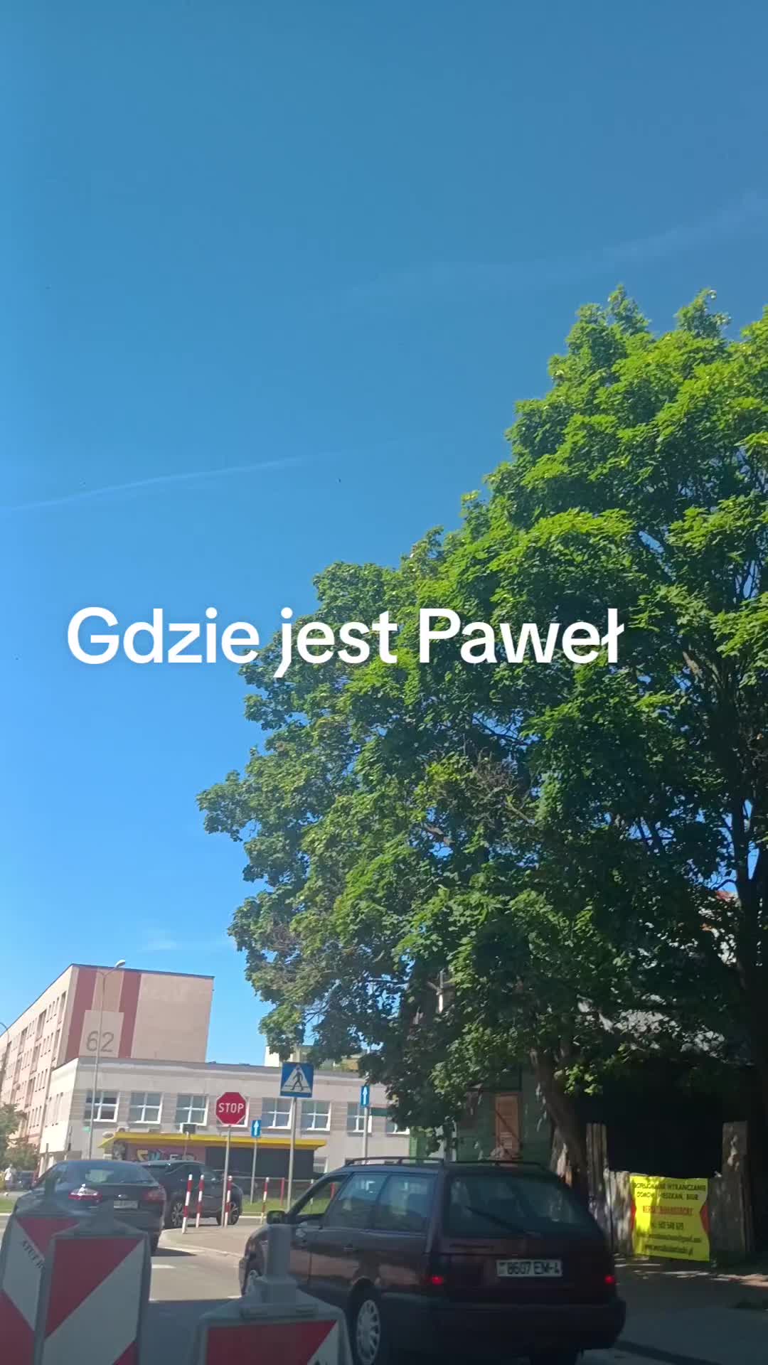 @drylek123