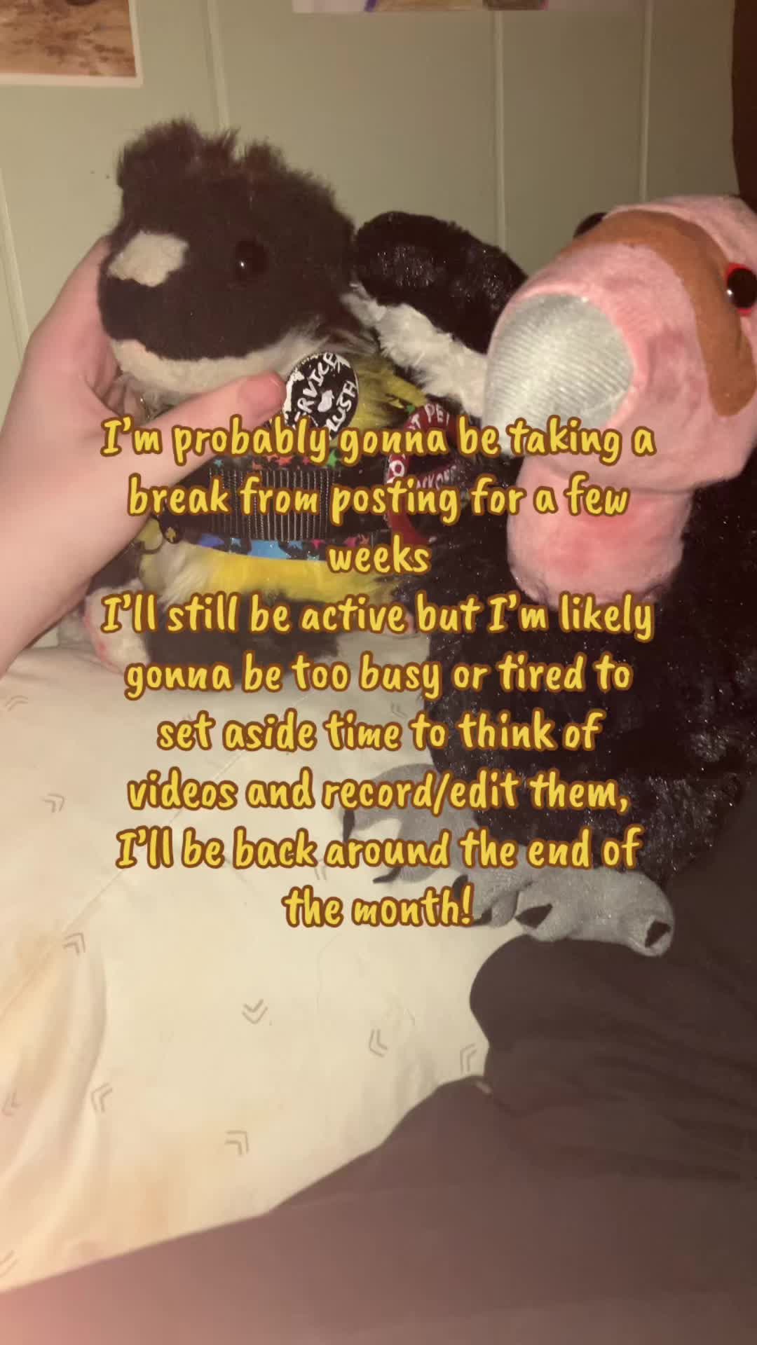 @⭐️Moth and his plushies💿