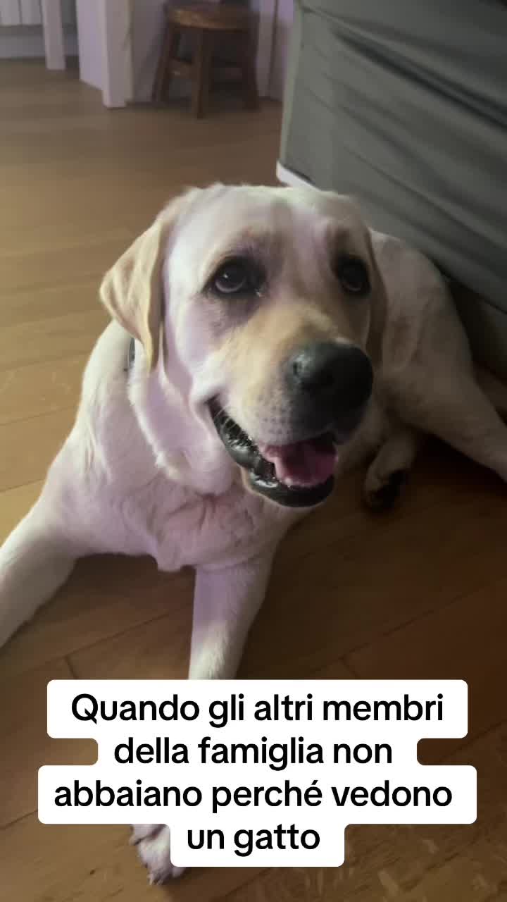 @Marti