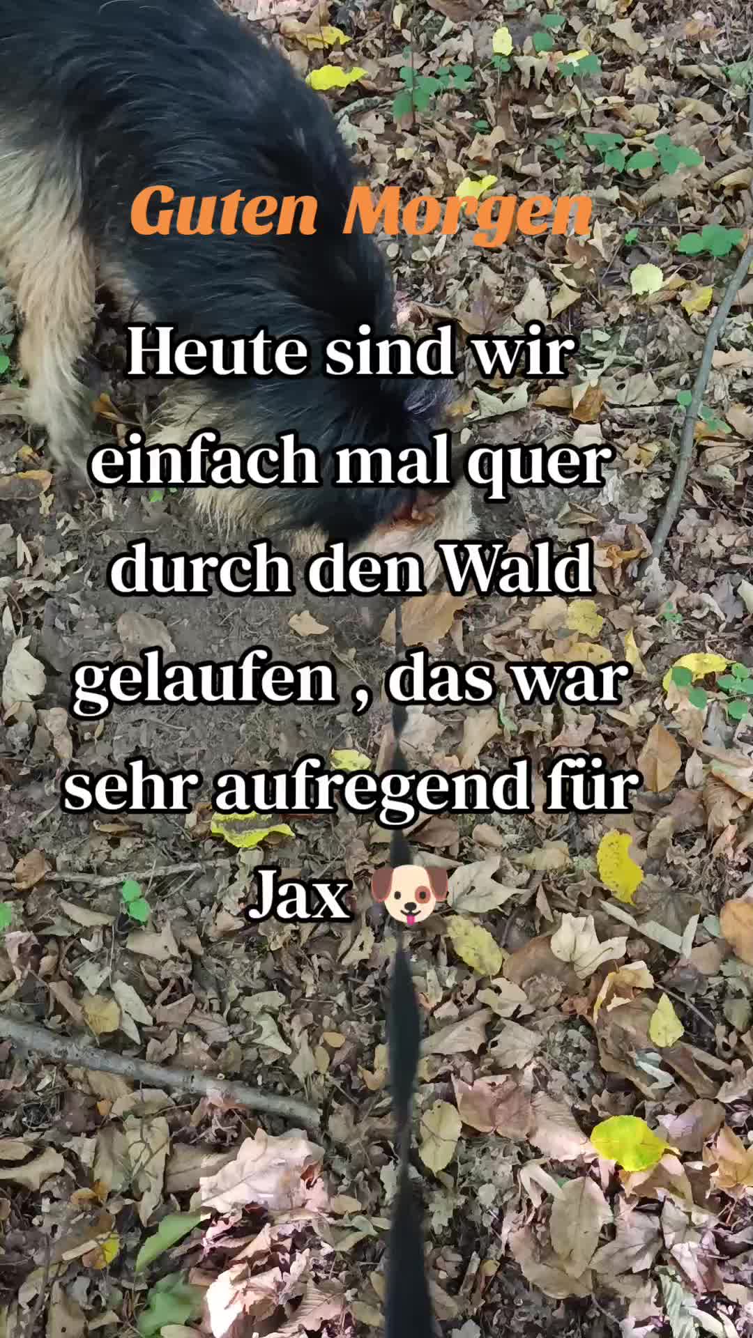 @Mikelina