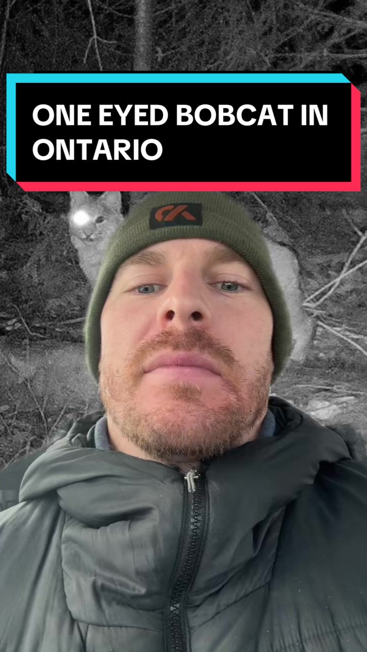 @Wild Ontario News